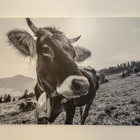 Allgaeuglueck - & Stadtnah Daire