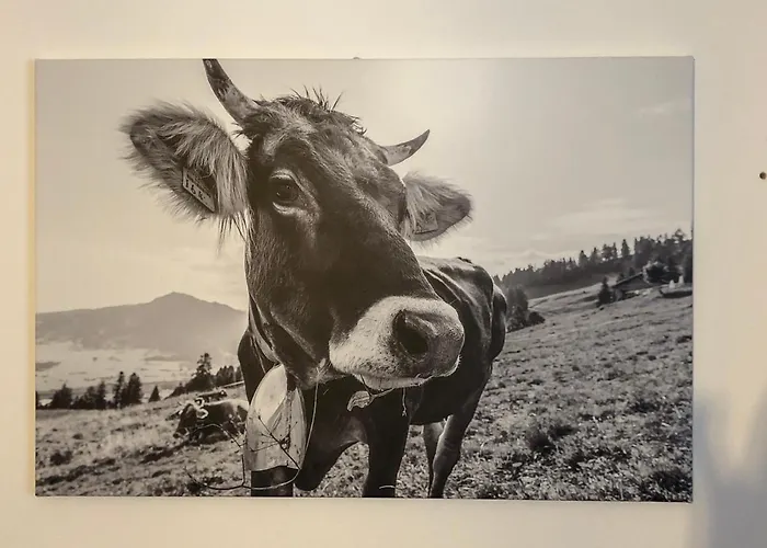 Allgaeuglueck - & Stadtnah Appartement